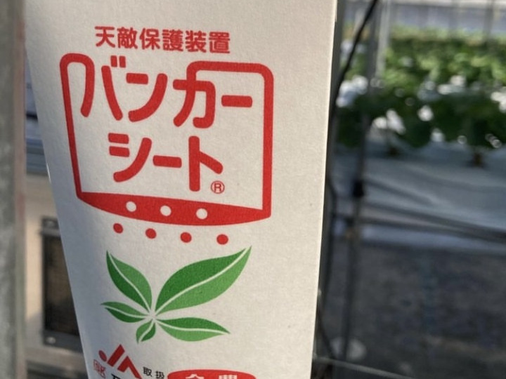 生産者のこだわり