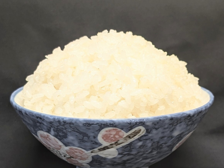令和8年産新米】マジでうまい！千葉県産コシヒカリ精米10kg（乾燥機