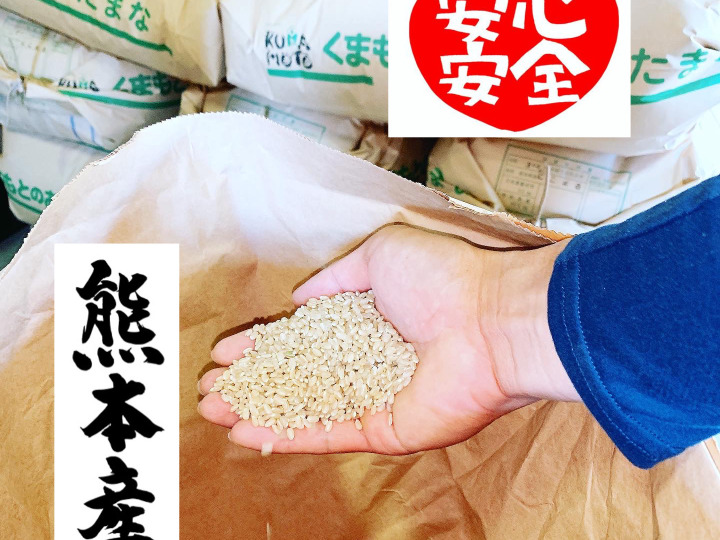 ホタル舞う棚田の令和4年南魚沼産コシヒカリ中粒米精米20kg米/穀物