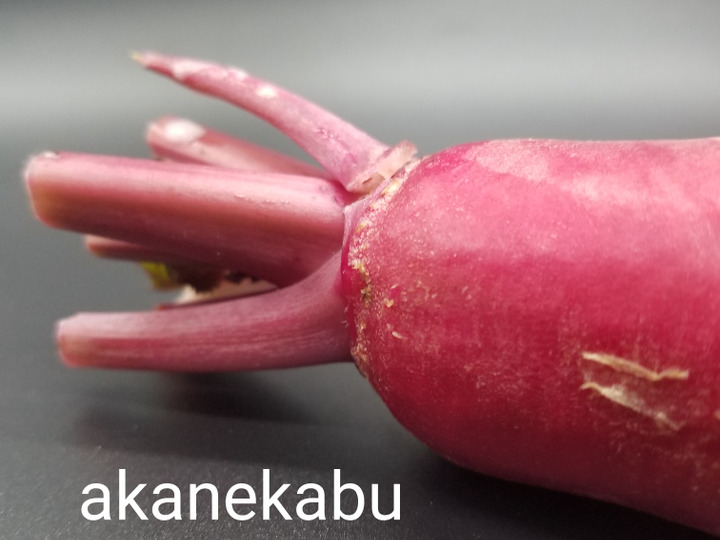 生産者のこだわり