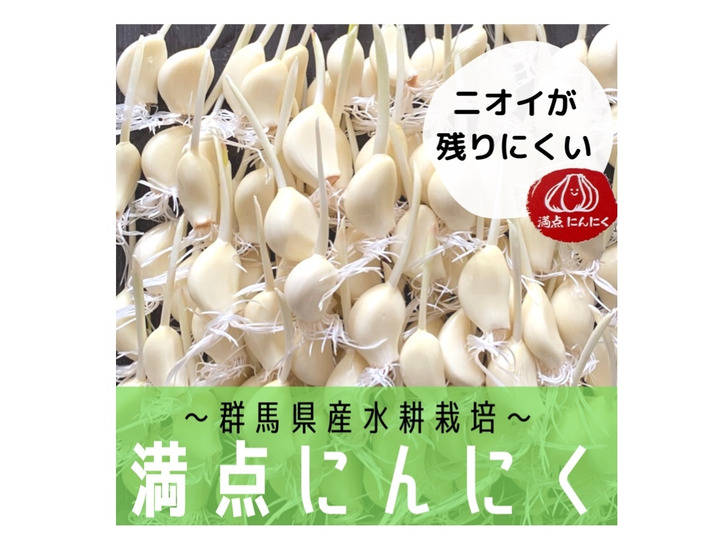 大特価 群馬県産満点にんにく（発芽にんにく）30本＋訳あり品5本セット 野菜