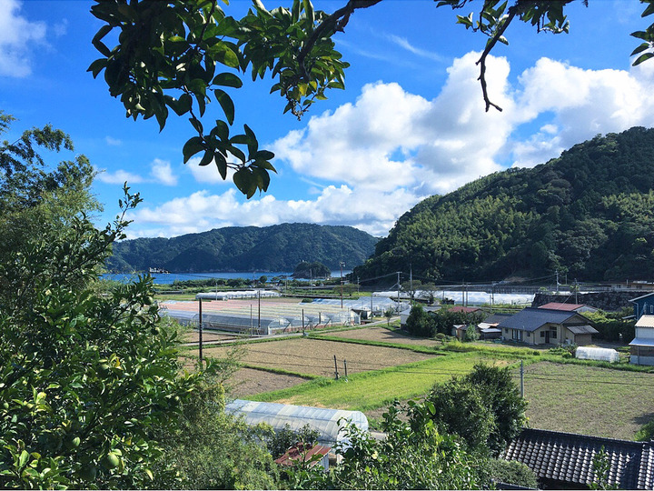 生産者のこだわり