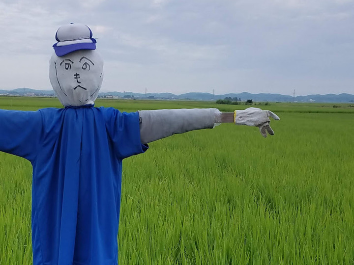 生産者のこだわり