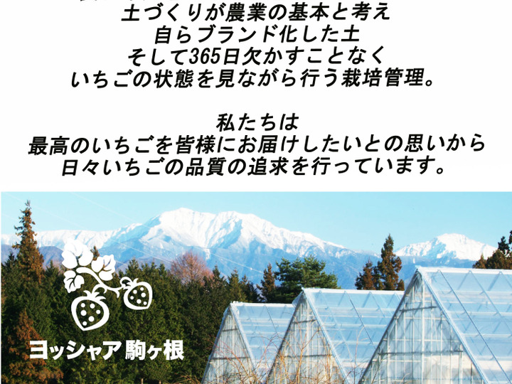 南信州アルプスイチゴ農園 ヨッシャア駒ヶ根へのレビュー・商品：長野県｜食べチョク｜産地直送(産直)お取り寄せ通販 - 農家・漁師から旬の食材を直送