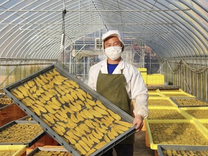 干し芋 丸干し250g 4袋×2 2箱8袋セット べにはるか：茨城県産のべに