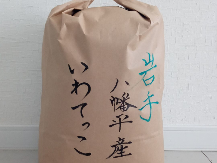希少米!いわてっこ新米10キロ：岩手県産の米・穀類｜食べチョク