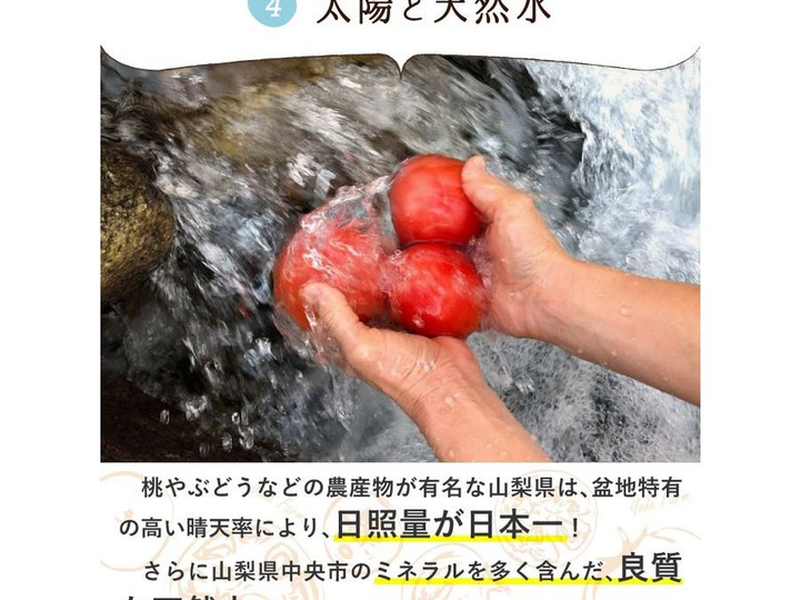 美味しさの秘密3/4