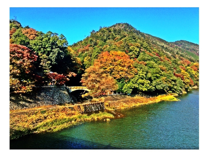 自然の中で美味しいお水で育てています!
