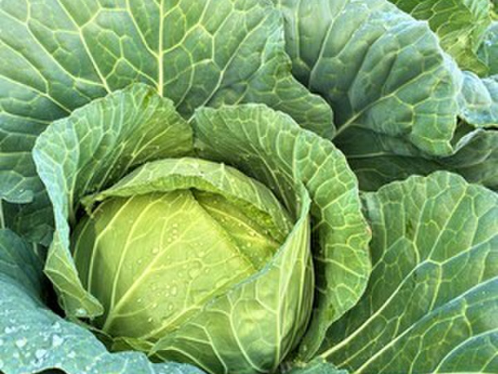 安心安全へのこだわり