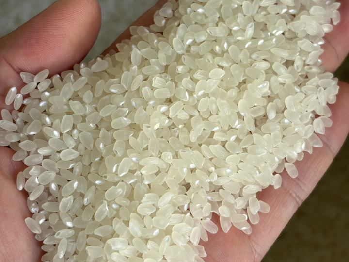 R7年産 秋田県産あきたこまち玄米20kg：秋田県産のお米｜食べチョク
