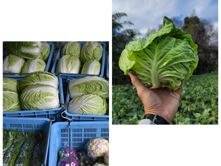 生産者のこだわり