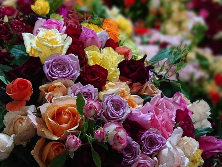 夏季限定】箱いっぱい薔薇の花頭！王様気分♪お姫様気分♪でバラ