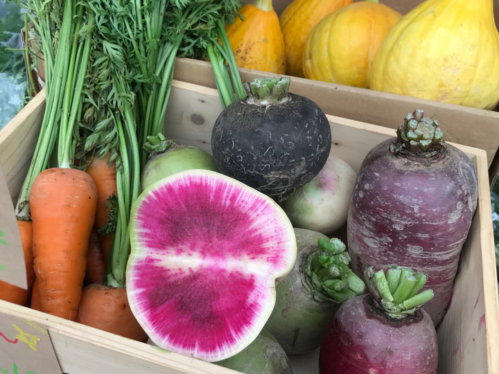 一番人気物 カゴシマからお届け！霧島産✴︎もりもり野菜セット✴︎10品目 米・雑穀・粉類
