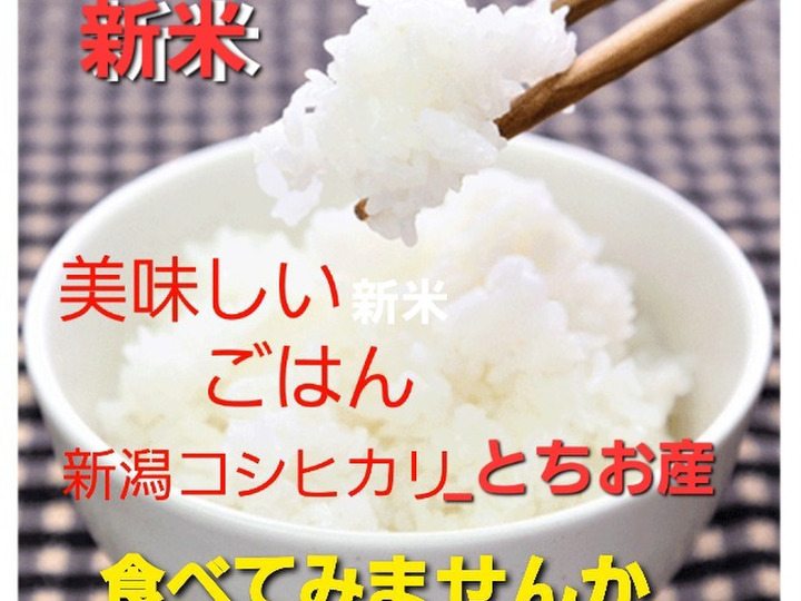 長野県産 米 白米 10kg 精米 農家出品 はさ掛け コシヒカリ 送料込み