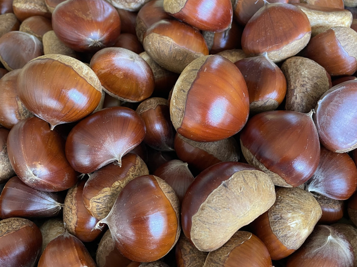 特大4Lサイズ 茨城県産　栗　生栗 特大4Lサイズ 茨城県産 栗 生栗 - メルカリ