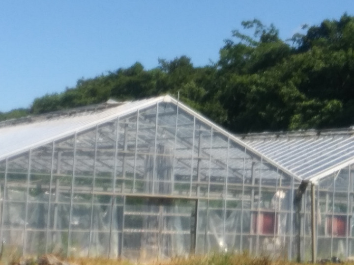 生産者のこだわり
