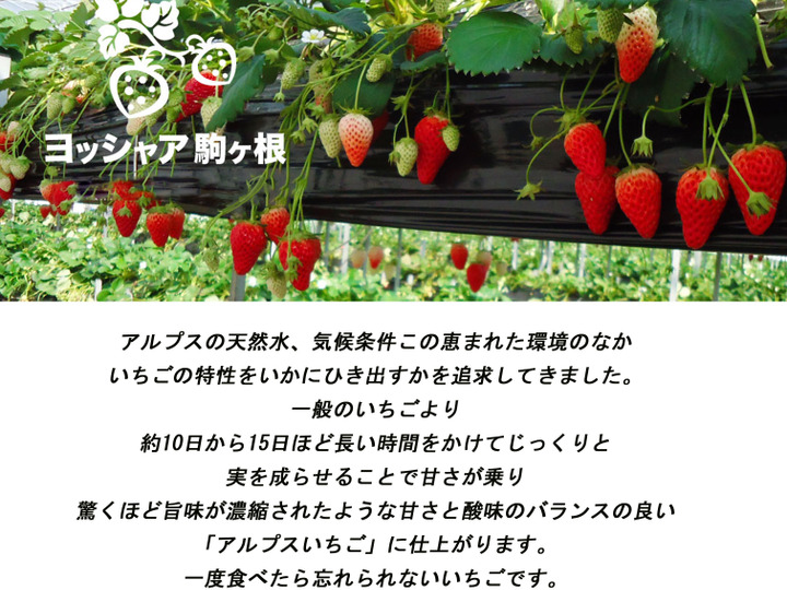 生産者のこだわり
