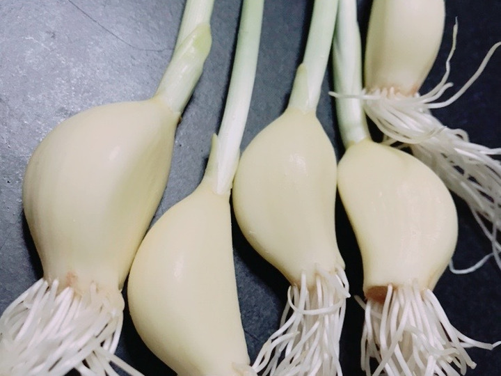 農薬・化学肥料不使用!