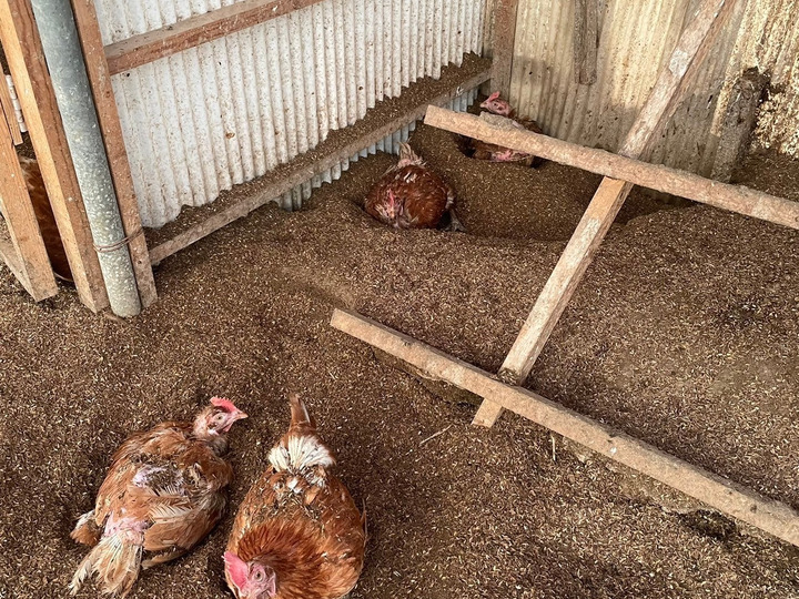 生産者のこだわり
