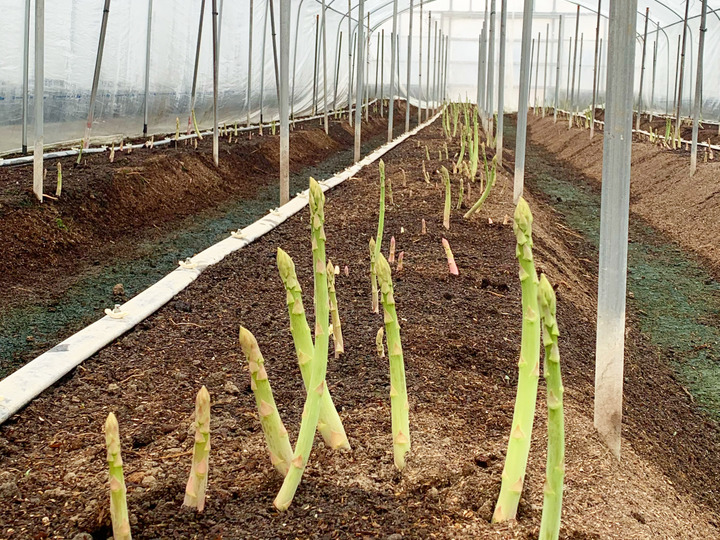 安心安全　土へのこだわり