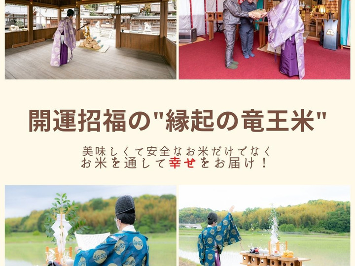 ハレの日もケの日も食べたい縁起の竜王米