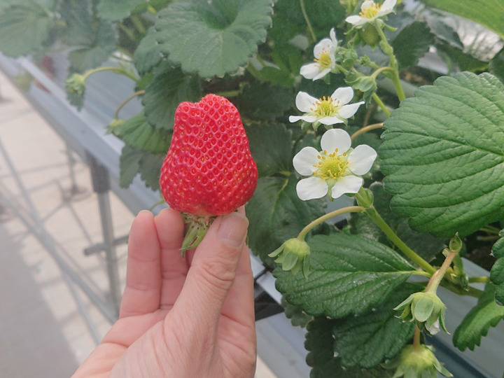 生産者のこだわり