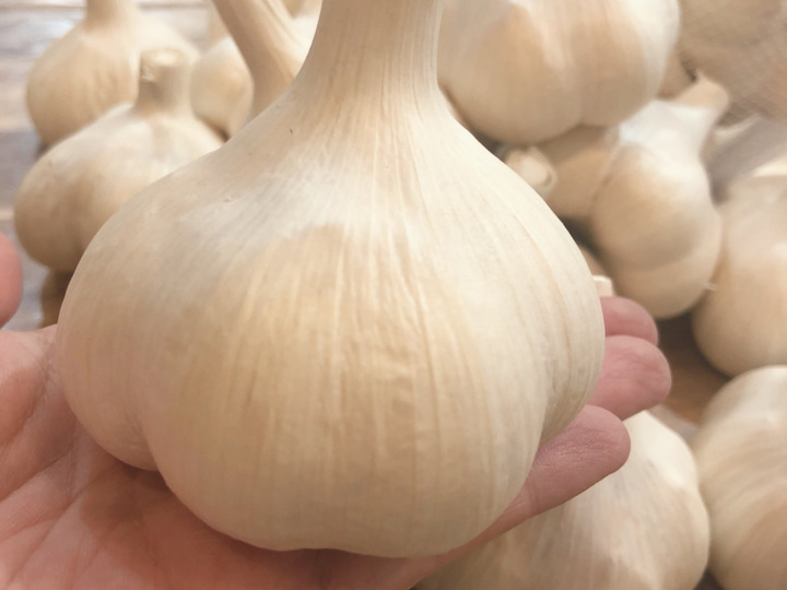 にんにく生産量日本一の青森県十和田市
