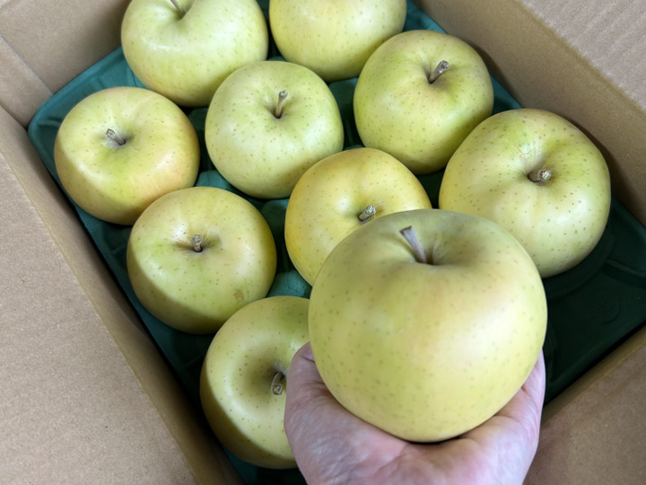 王林サンふじ食べ比べセット5キロ【りんご食べ比べ】：青森県産