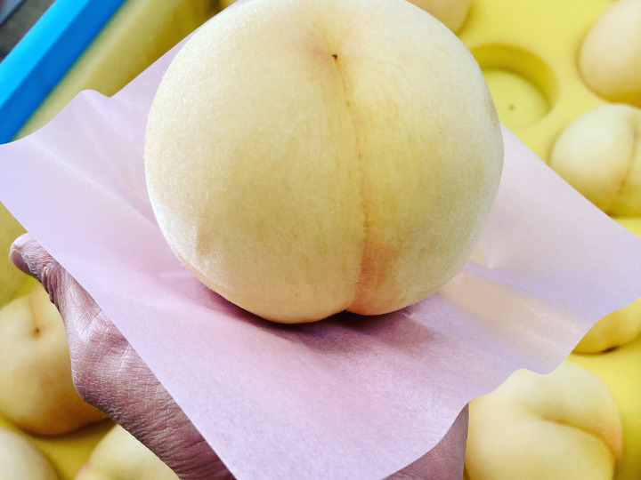 生産者のこだわり