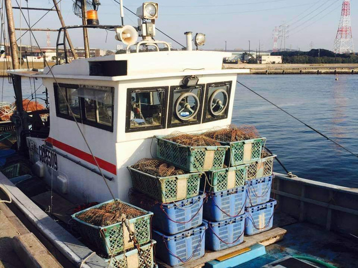 生産者のこだわり