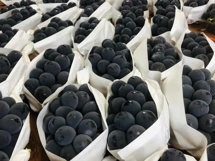 生産者のこだわり