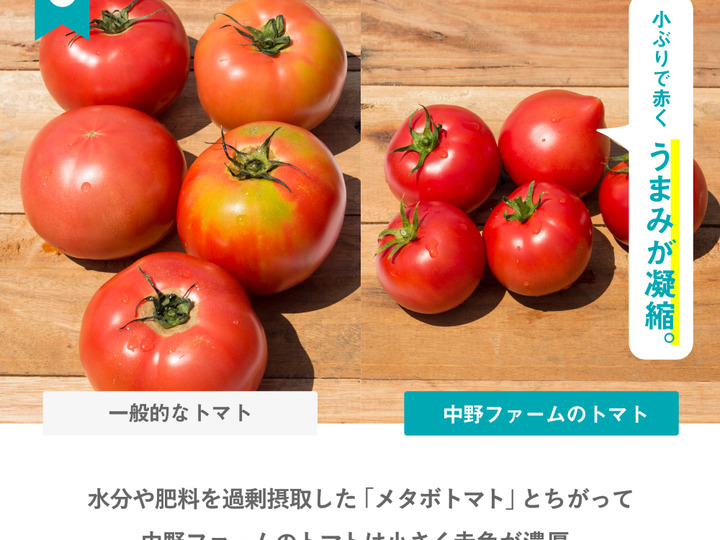 トマトジュース専門農家】無添加トマトジュース720ml×12本