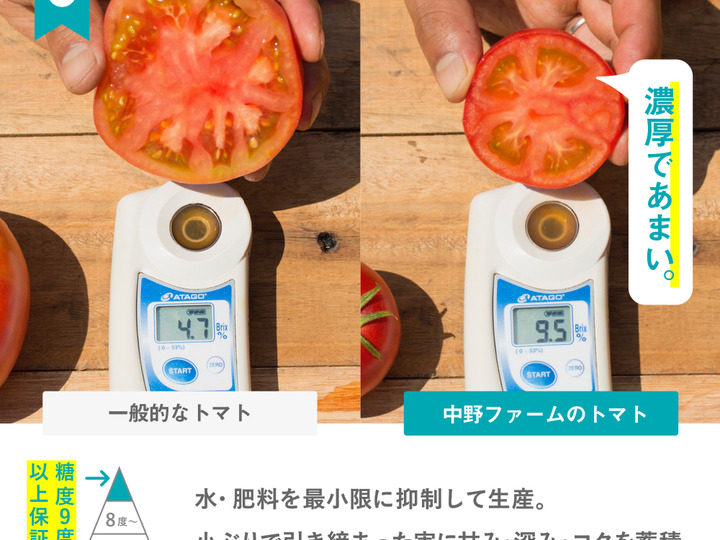 糖度9度以上!感動の美味しさ。