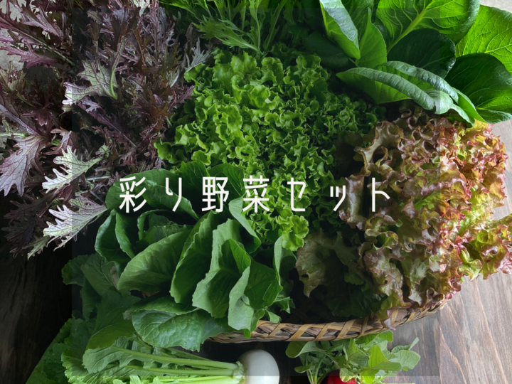 多品目栽培