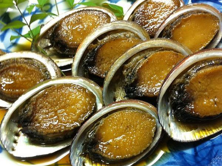漁師直送！！伊豆の美味しい トコブシ とこぶし -60度急速冷凍品 １キロ：静岡県産の魚介類｜食べチョク｜産地直送(産直)お取り寄せ通販 -  農家・漁師から旬の食材を直送