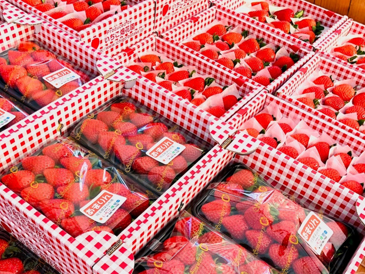 いちご畑花園へのレビュー・商品：埼玉県｜食べチョク｜産地直送(産直
