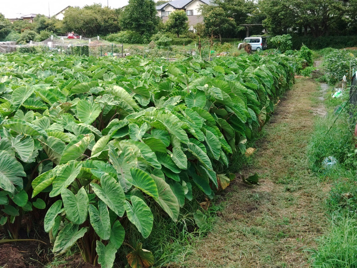 生産者のこだわり
