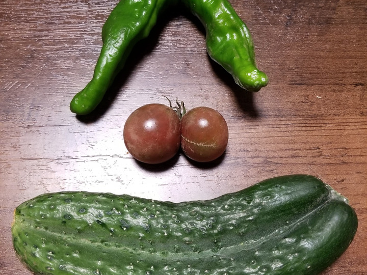 子どもに優しい味の野菜作り