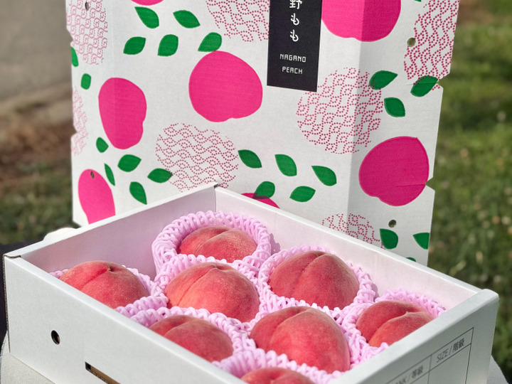 2025年予約受付中] 長野県産 サンフジ3kg（9~12個）：長野県産のふじ