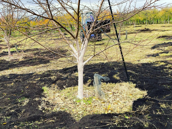 化学肥料をできるだけ使いません