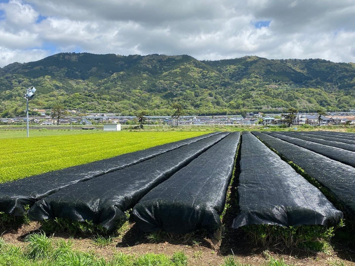 生産者のこだわり
