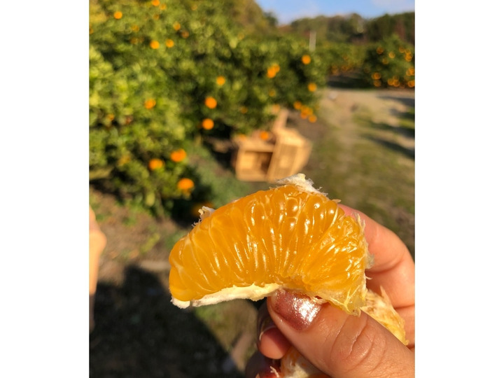 生産者のこだわり