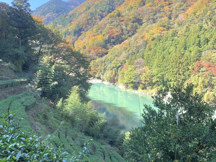 生産者のこだわり