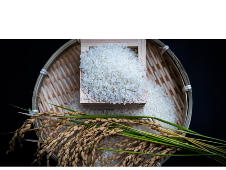 嗣英 新米 無農薬コシヒカリ玄米20kg(5kg×4)ビニ袋梱包 米司郎 自然微生物農法 南魚沼産コシヒカリ 玄米 G-2 1袋（2kg