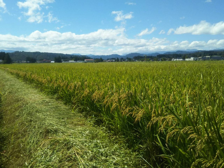 生産者のこだわり
