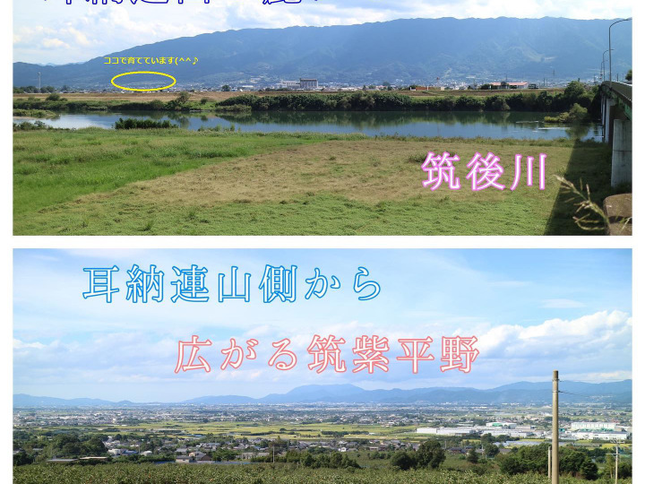 生産者のこだわり