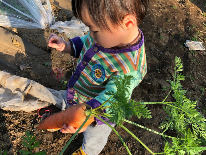 できる限り環境を配慮した農業を行います。