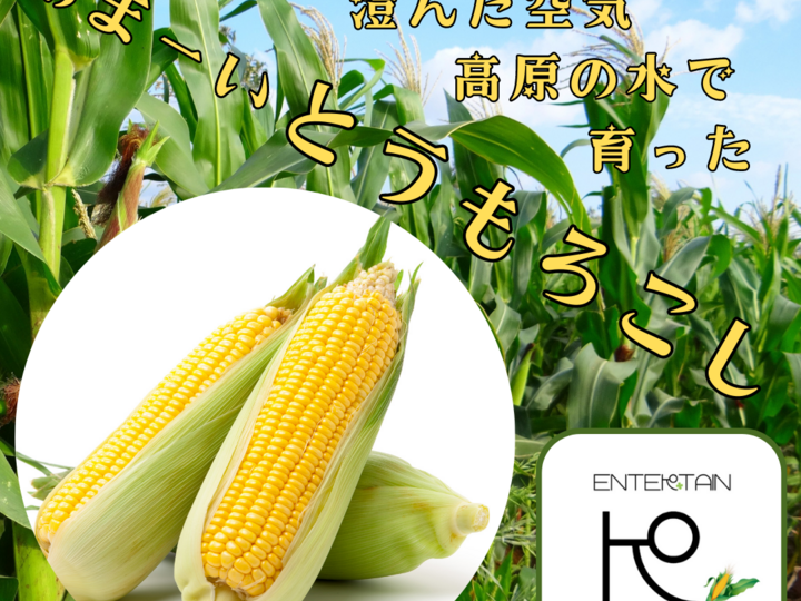 生産者のこだわり