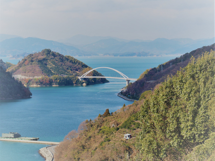 島の恵み