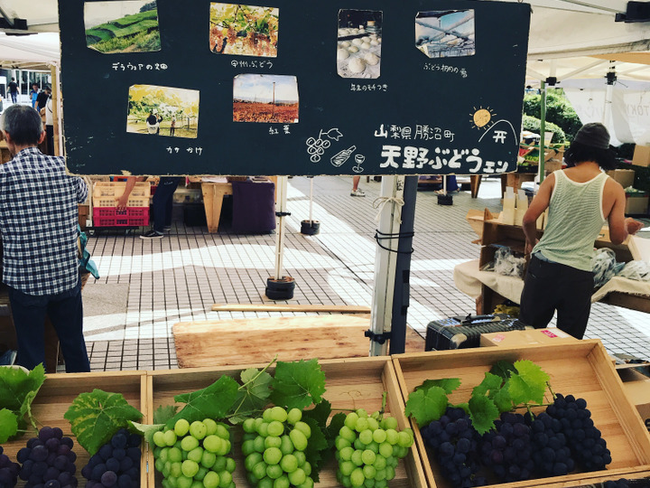 クール便】収穫が始まりました!人気のシャインマスカットA品 2kg(3房〜5房):山梨県産の果物|食べチョク|産地直送(産直)お取り寄せ通販 - 農家・漁師から旬の食材を直送 クール便】収穫が始まりました!人気のシャインマスカットA品 2kg(3房〜5房):山梨県産の果物|食べチョク|産地直送(産直)お取り寄せ通販 - 農家・漁師から旬の食材を直送